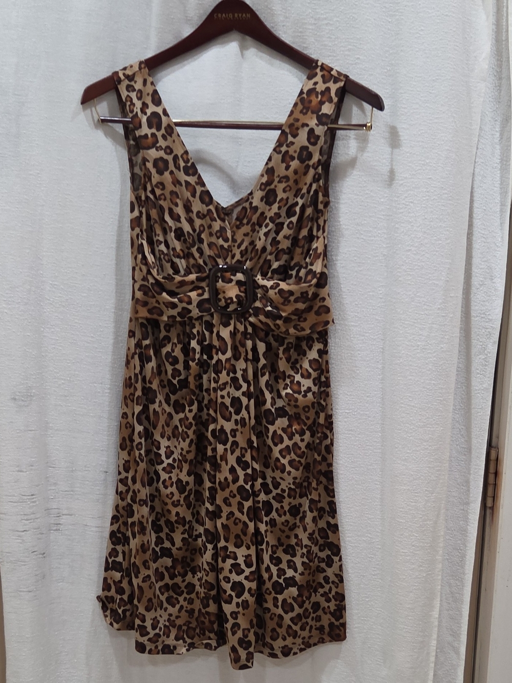 Leopard Print V-Neck Belted Dress - Brown